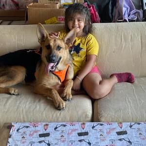 Meet your Posher, George